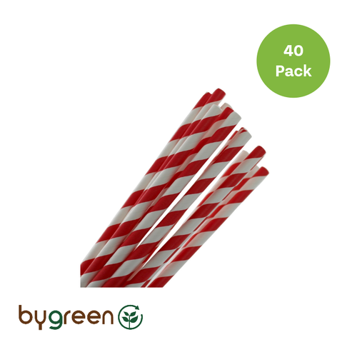 Regular Paper Straws- Red & White Stripe