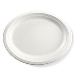 BioPak 25cm x 10" Round BioCane Plate - White 500/Carton