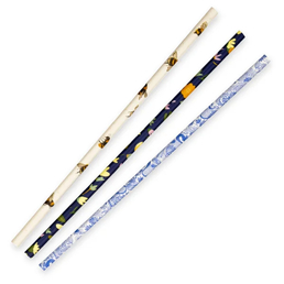 6mm Regular Bio Straw Art Series- 250Pk