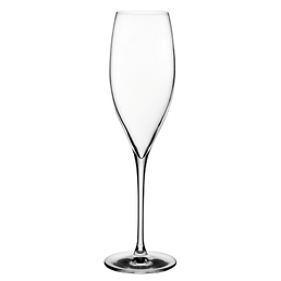Champagne Flute Glass Nude Terroir 310ml