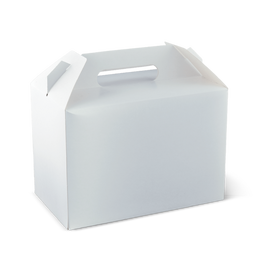 Detpak Extra Large Carry Pack 200/Carton