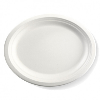 BioPak 25cm x 10" Round BioCane Plate - White 500/Carton